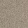 Shaw Floors: Dyersburg Classic 12' Taupe Mist